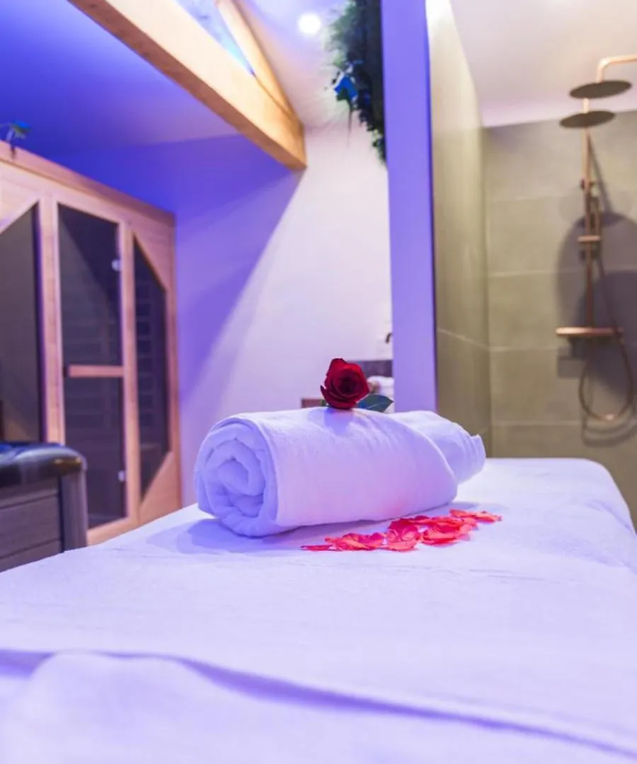 Suite L'Olive Sacree Spa Et Sauna Cabannes Maison d'hôtes